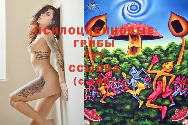 мескалин Белокуриха