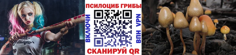 Псилоцибиновые грибы Magic Shrooms  блэк спрут как войти  Горняк 